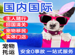 长水航空托运国际宠物托运 【国